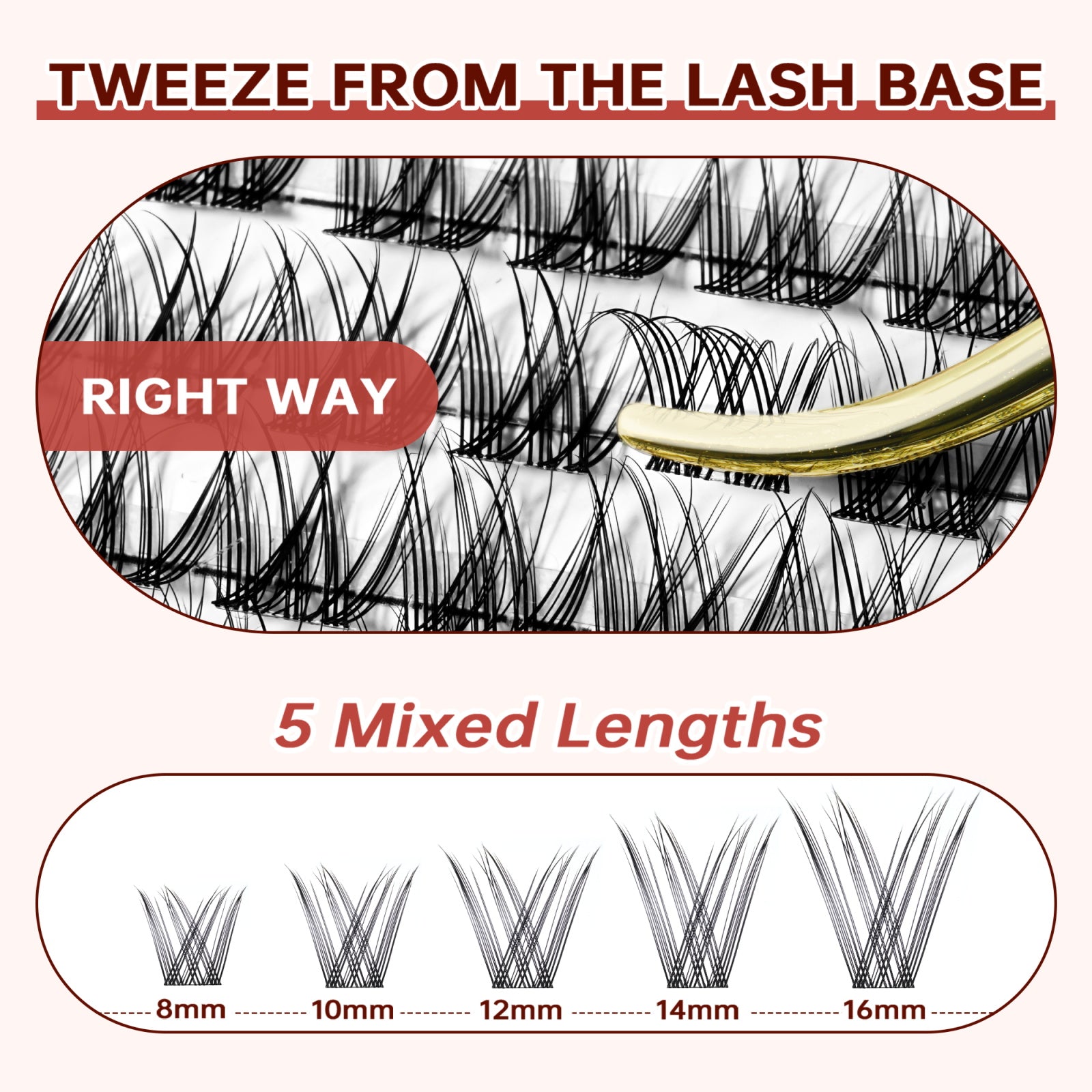 Wispy Diane Lash Kit