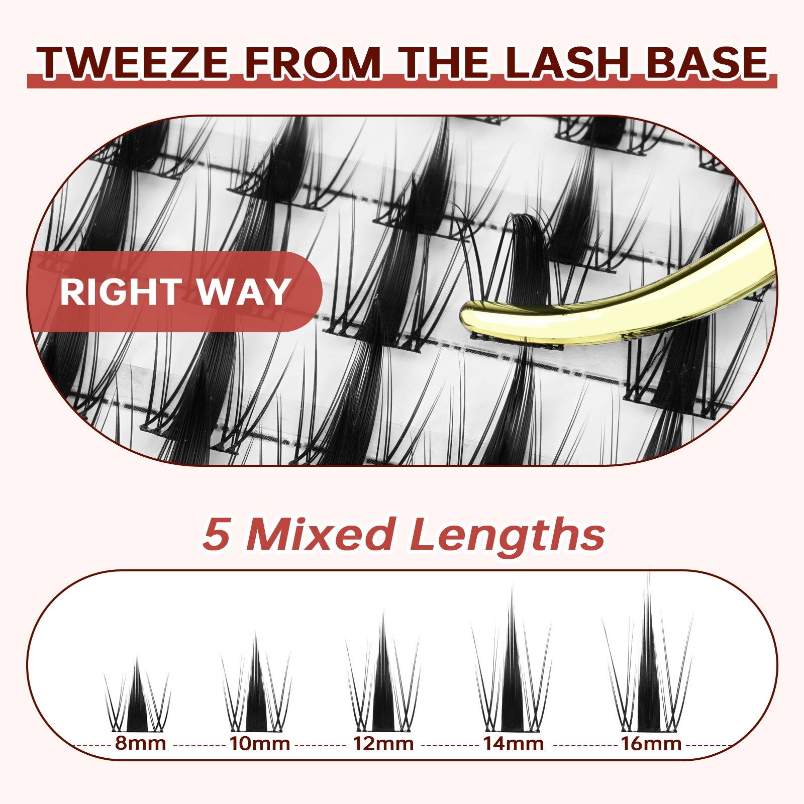 Manga Charlotte Lash Kit