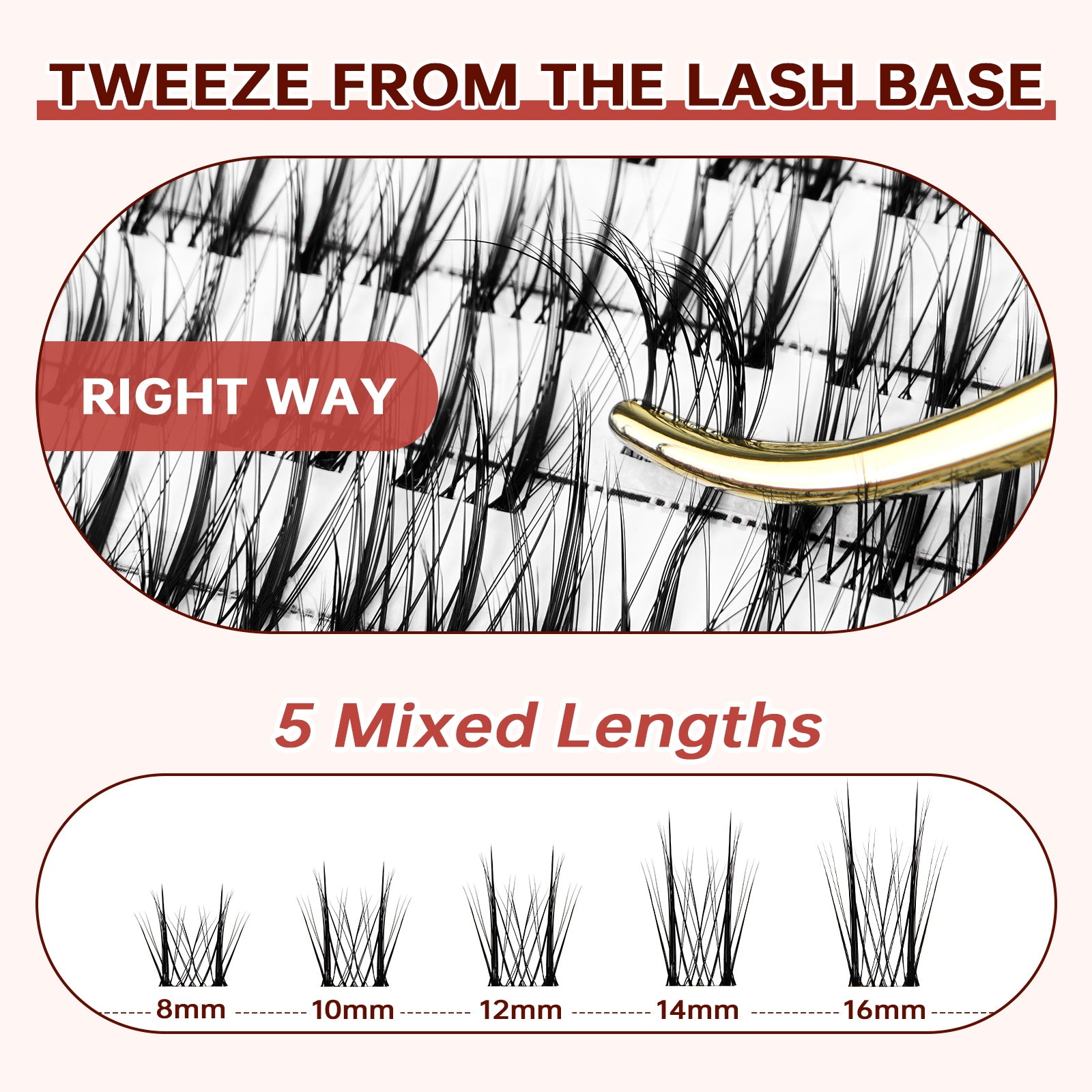 Wispy Claire Lash Kit